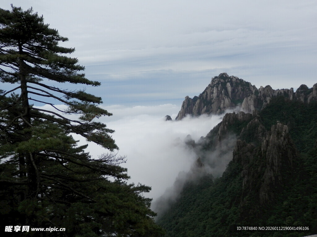 黄山云雾缭绕的壮美山景