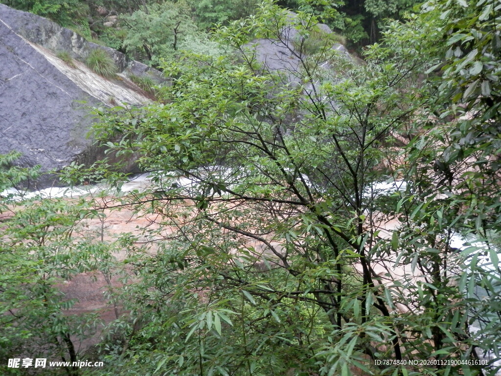 山间繁茂绿植与蜿蜒小路