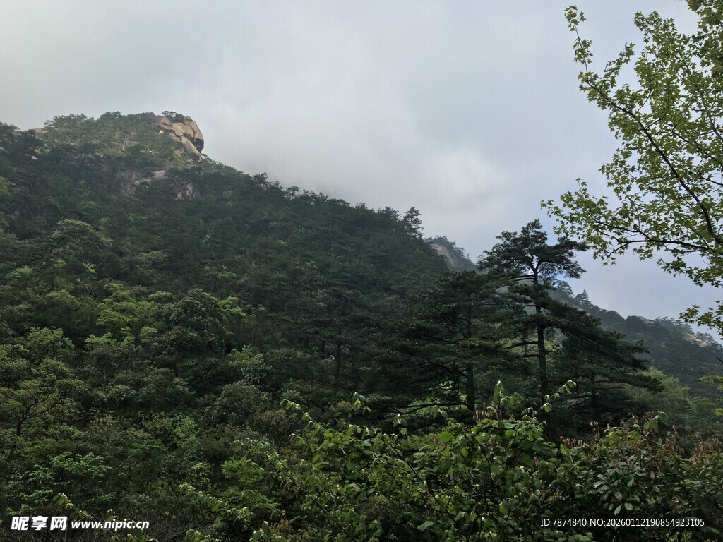青山绿树间的秀丽山峰