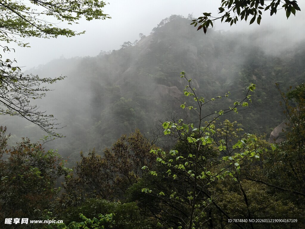 山间云雾缭绕的绿意景致