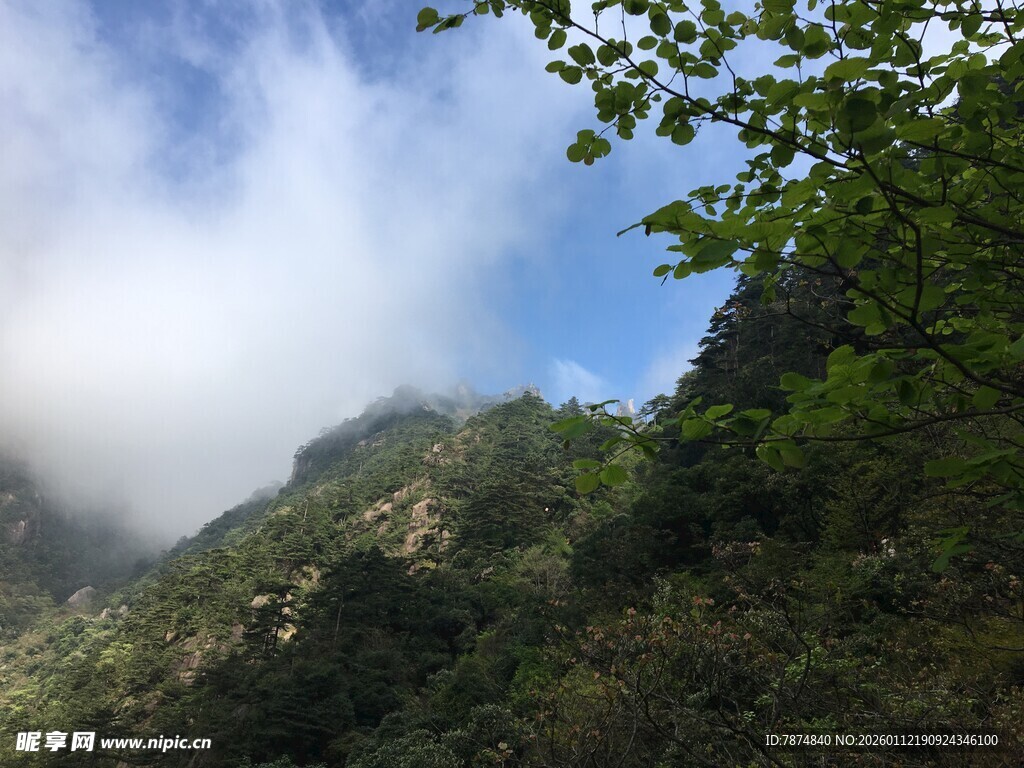山间云雾缭绕的翠绿景致