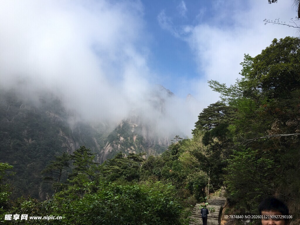 云雾缭绕的山林美景
