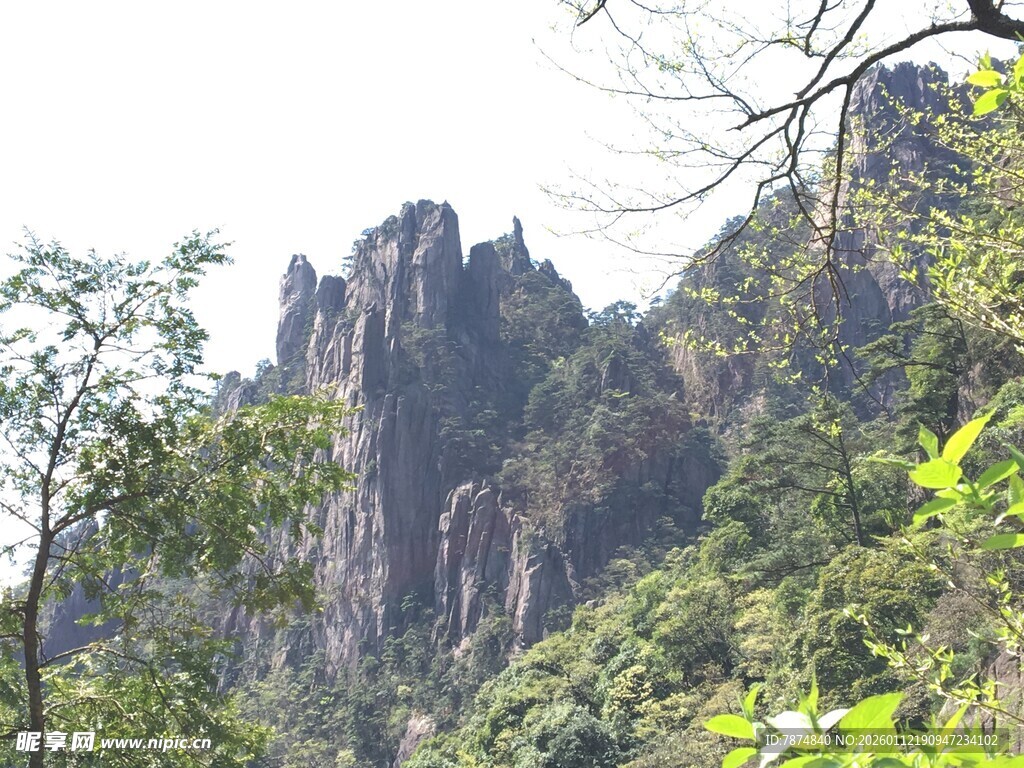 奇峰林立的秀丽山林景观