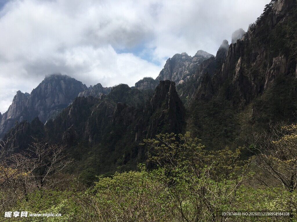 壮丽山景与葱郁植被