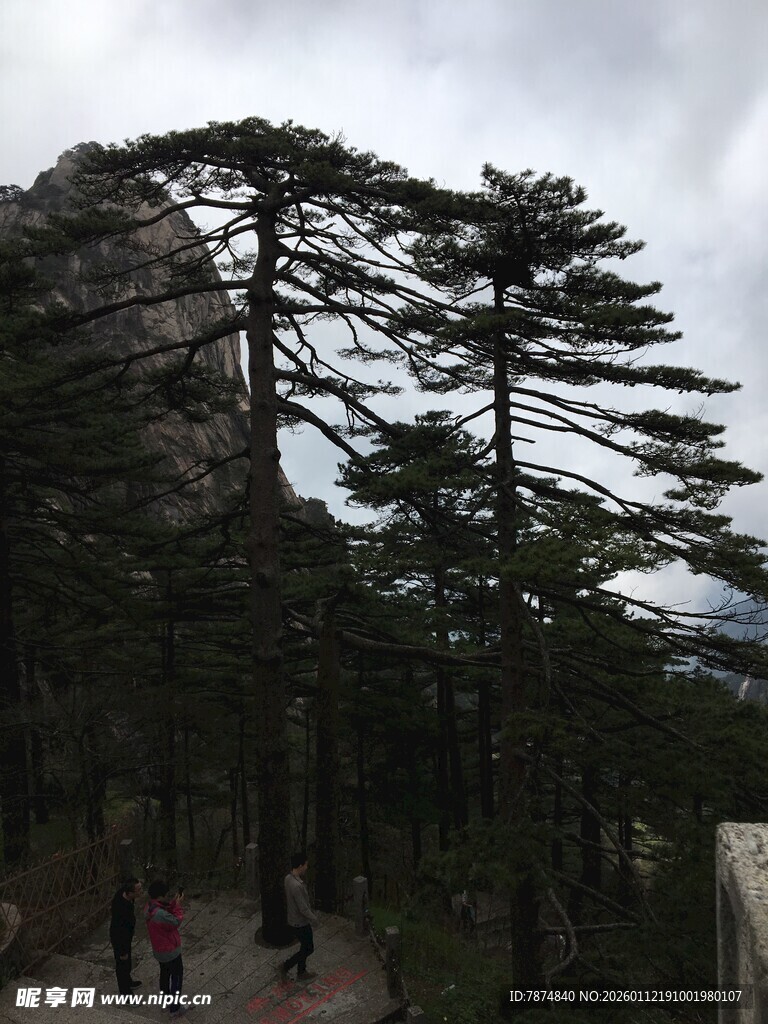 山间松景与漫步人群