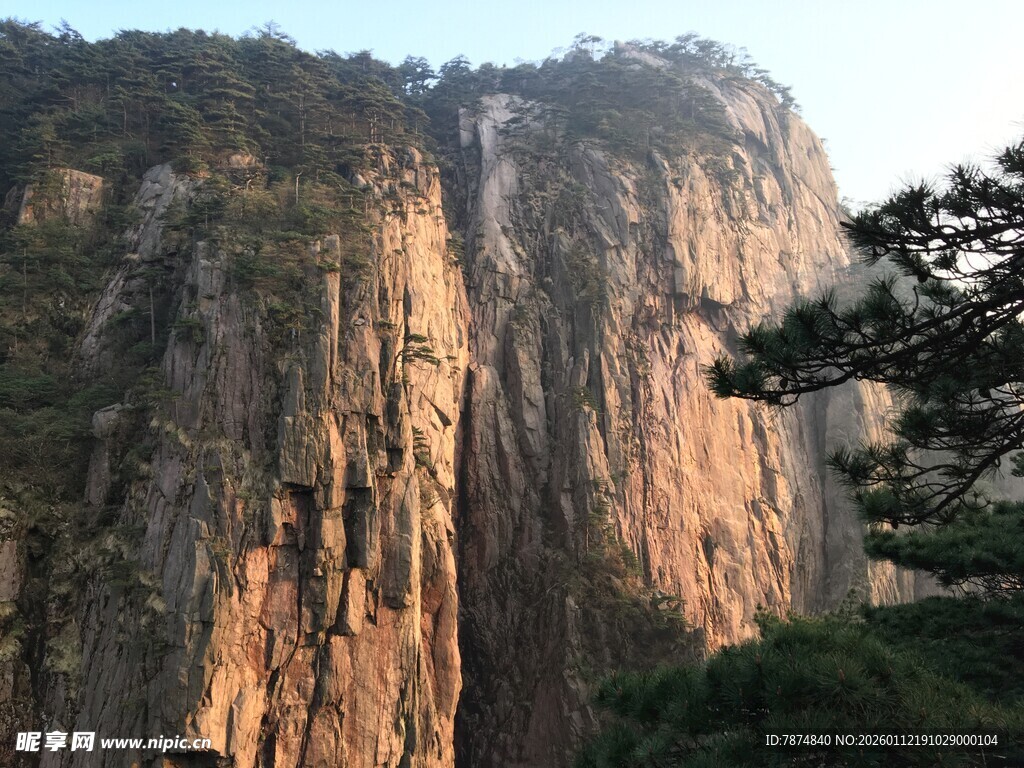 壮丽山景 峭壁与松