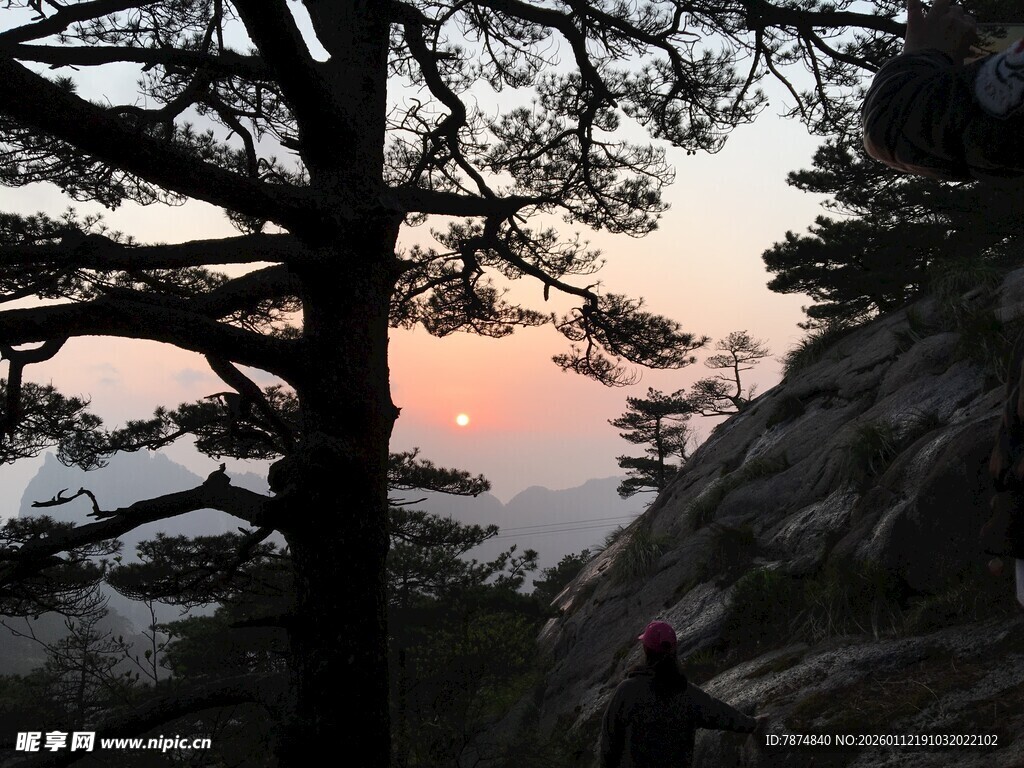 山间暮色中的苍松美景