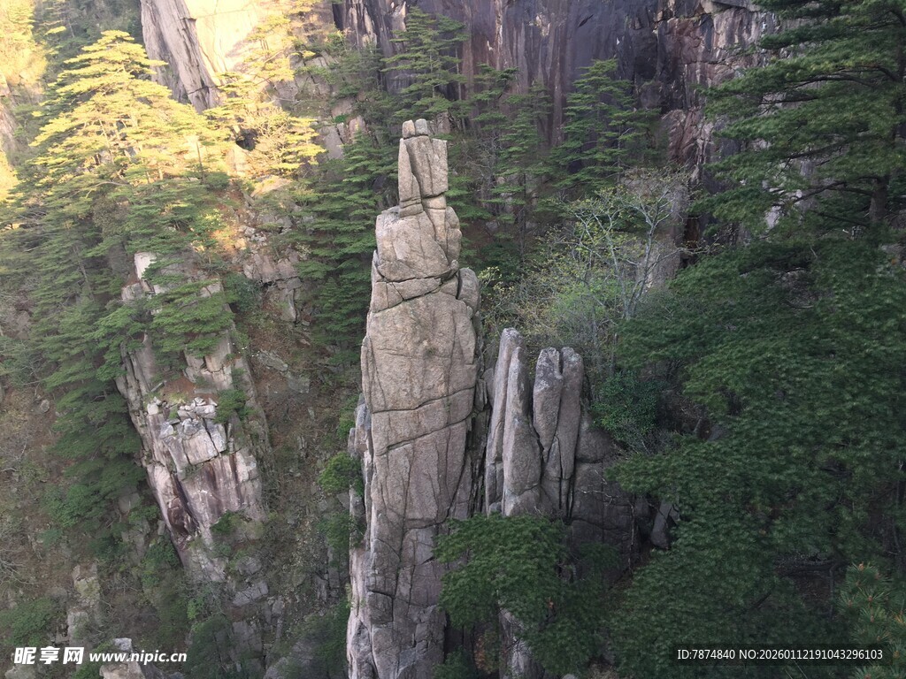 黄山奇峰屹立于山林间