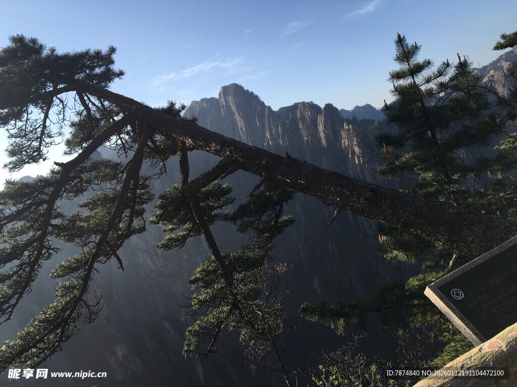 山间松枝与远处巍峨山峰