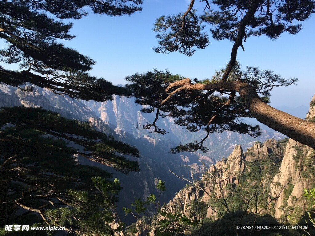 黄山奇松壮美山景