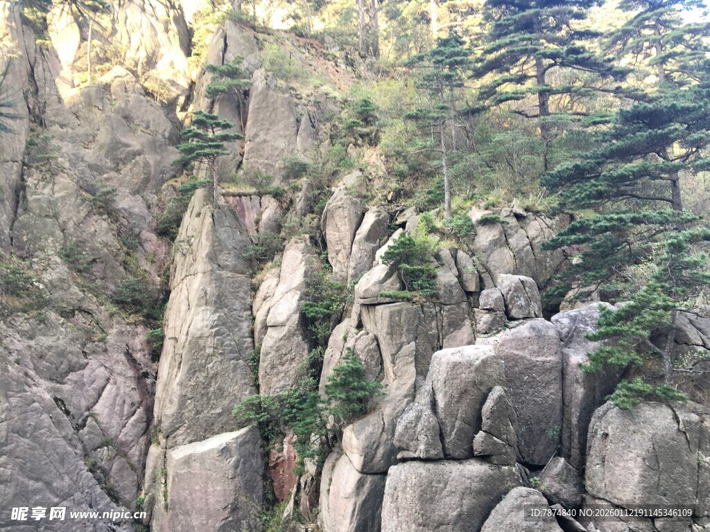 险峻山石间的翠绿生机