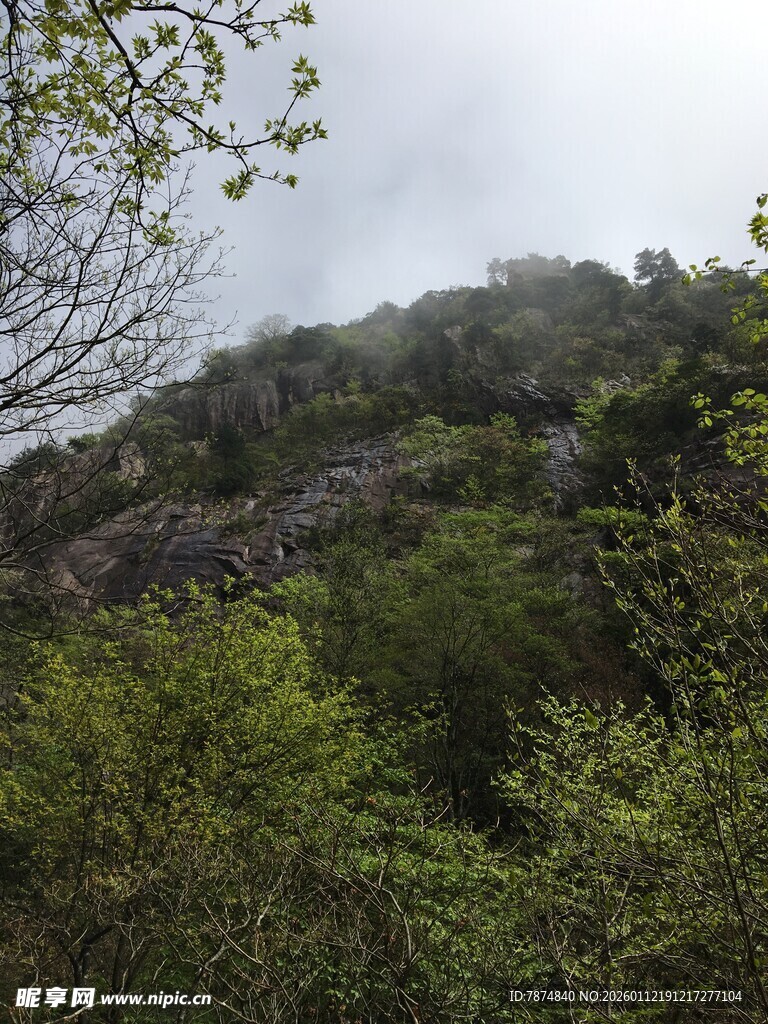 山间绿意盎然的自然景致