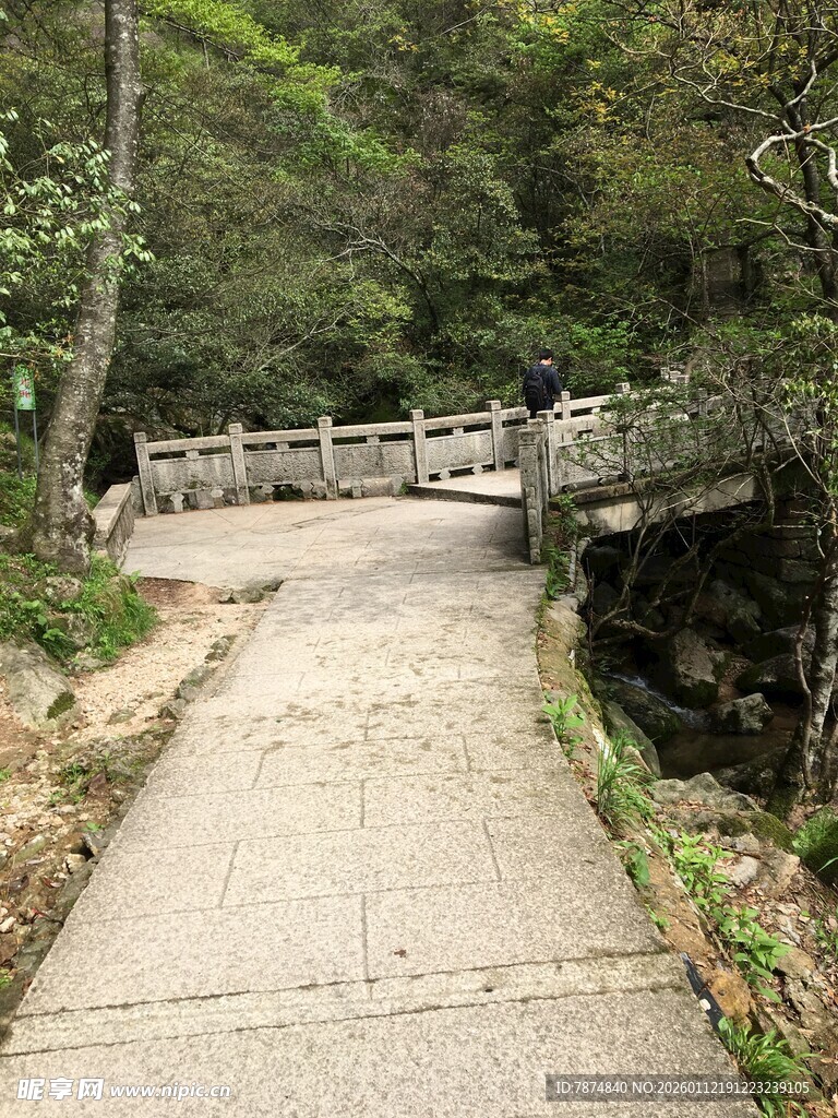 林间步道 静谧自然之景