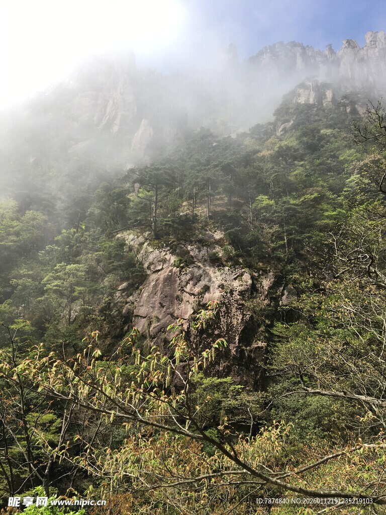云雾缭绕的山林美景