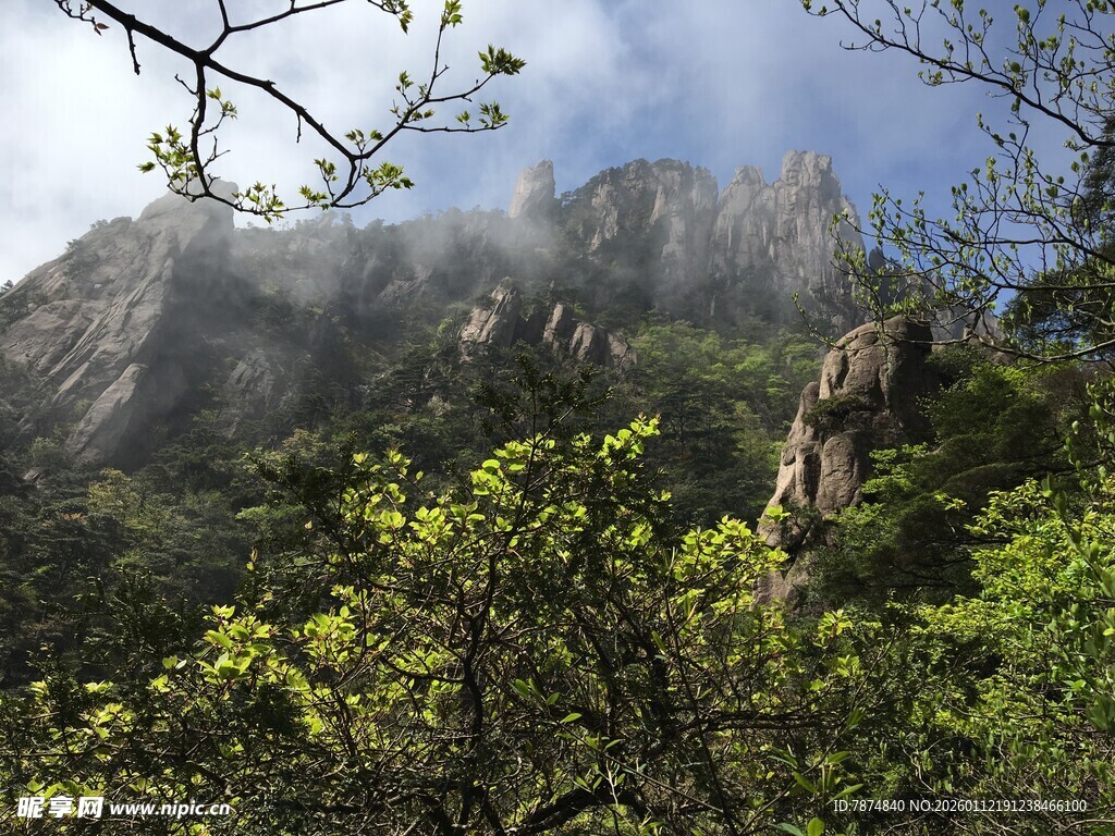 青山绿树间的云雾缭绕