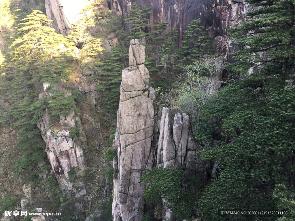 黄山奇峰屹立于山林间