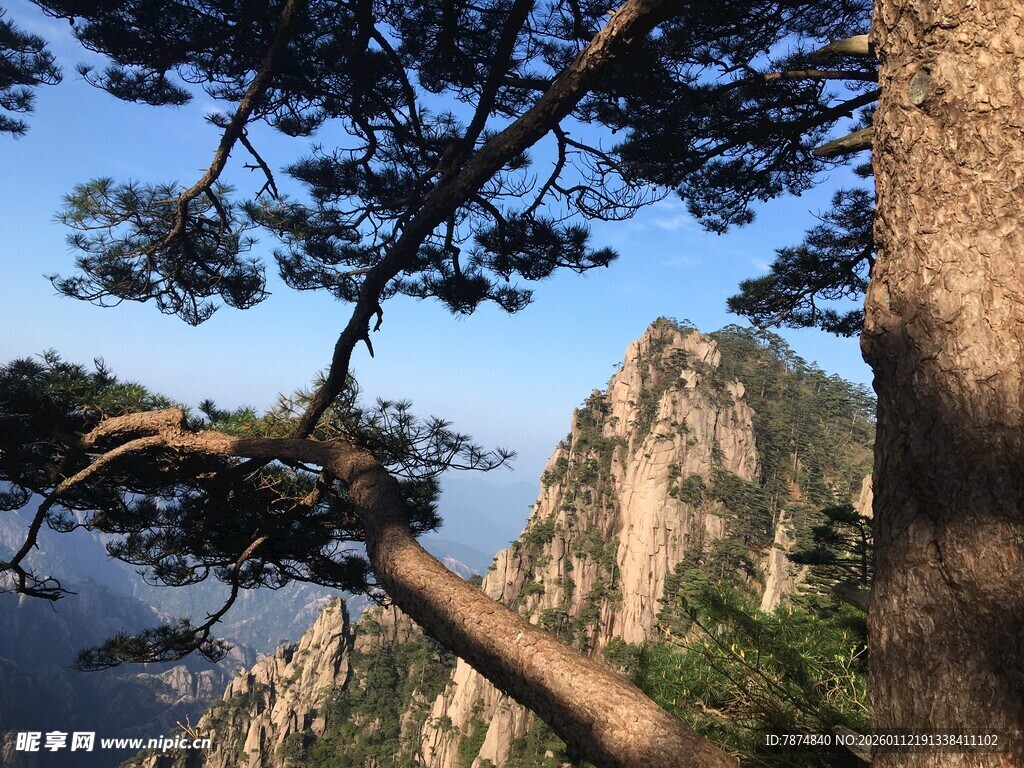 黄山奇松与峻岭风光