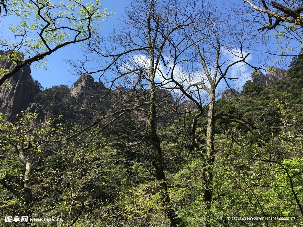 山林春色 山峦隐于绿意间