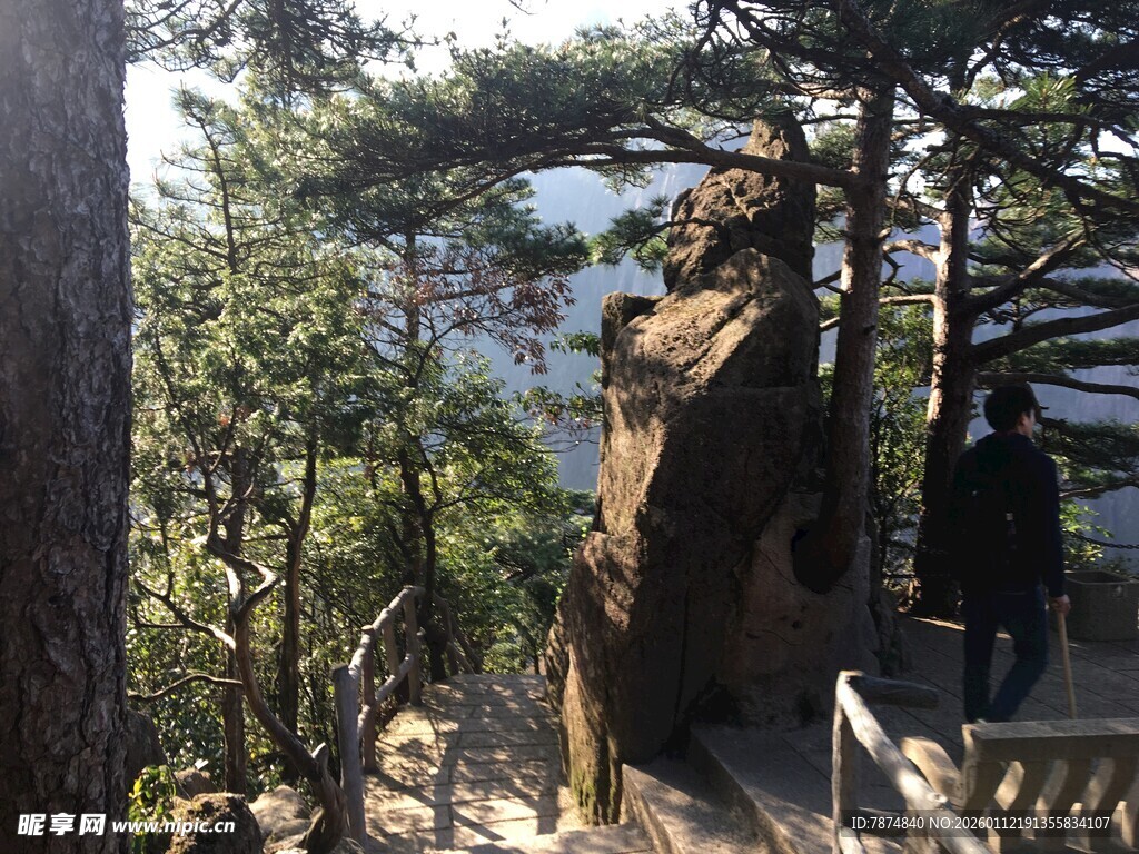 林间雕像 自然中的艺术景观