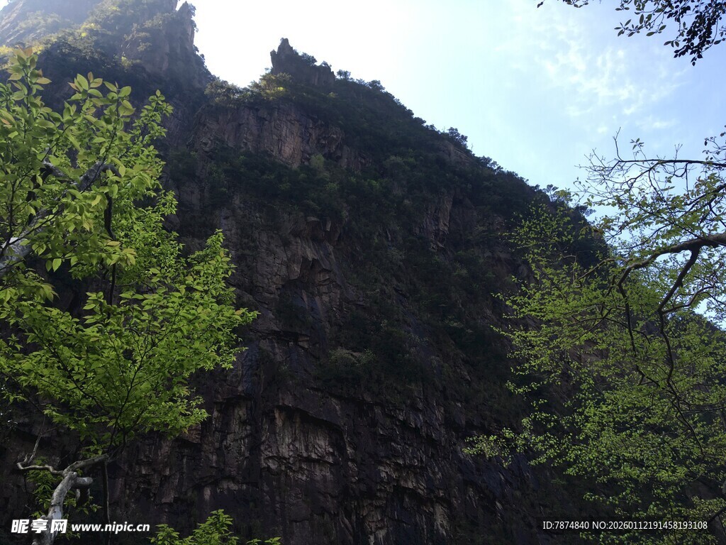 巍峨山峰与葱郁林木