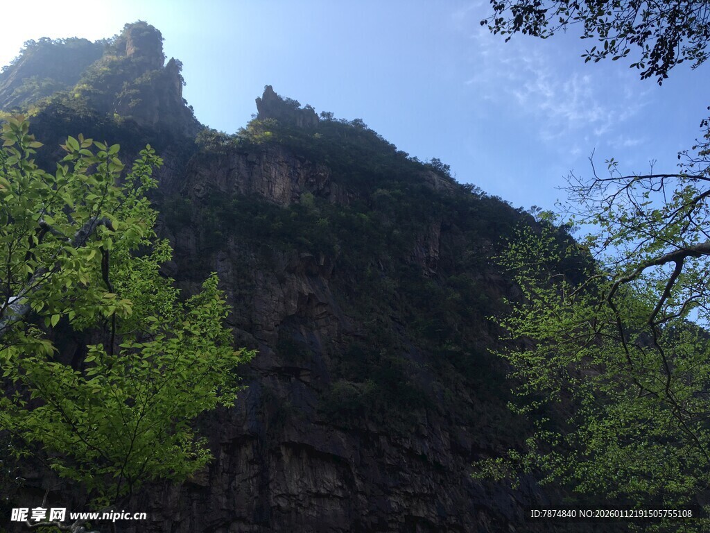 巍峨青山绿意浓