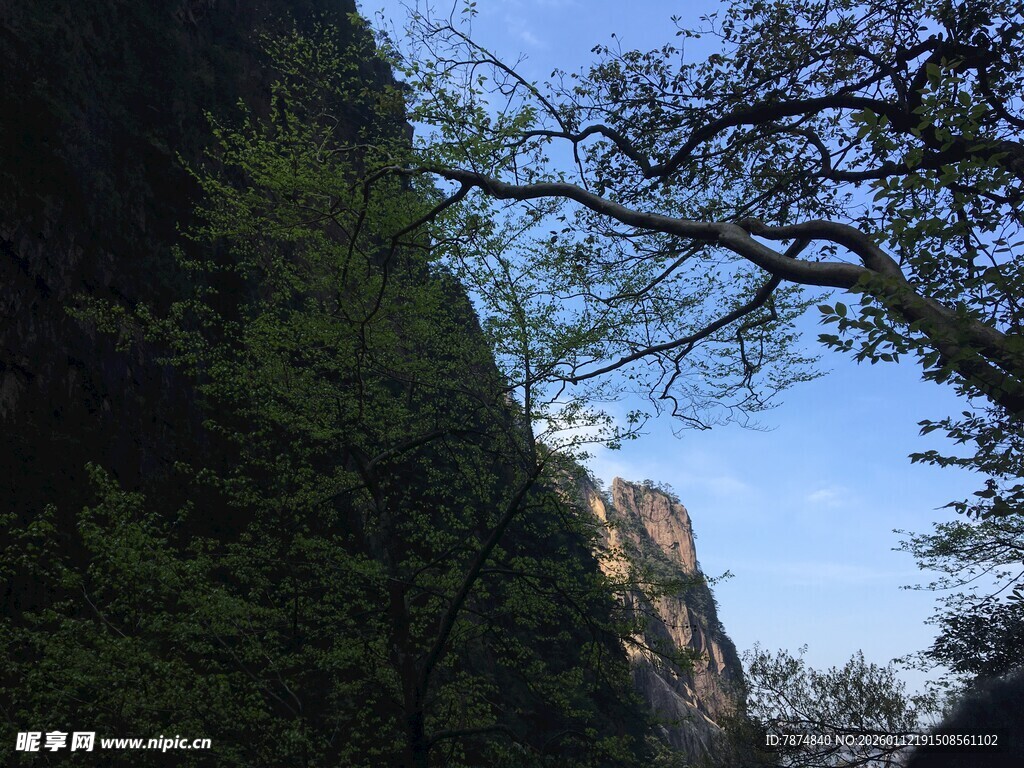 山间峭壁与繁茂树木景观