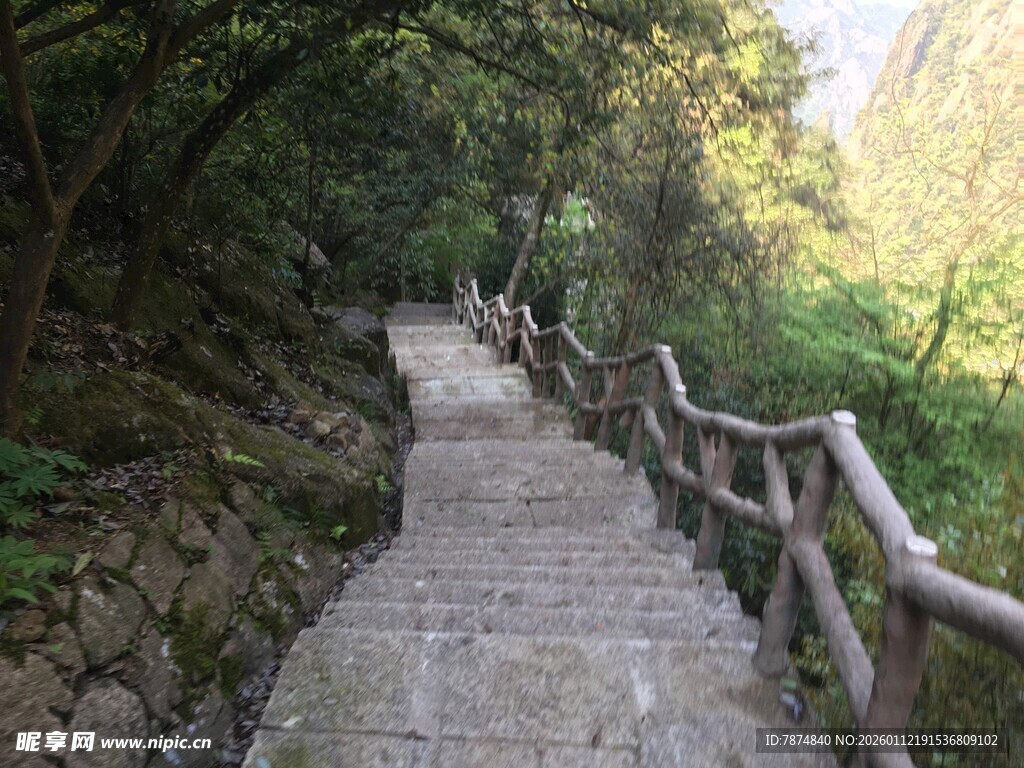 林间木栏石阶幽静小道