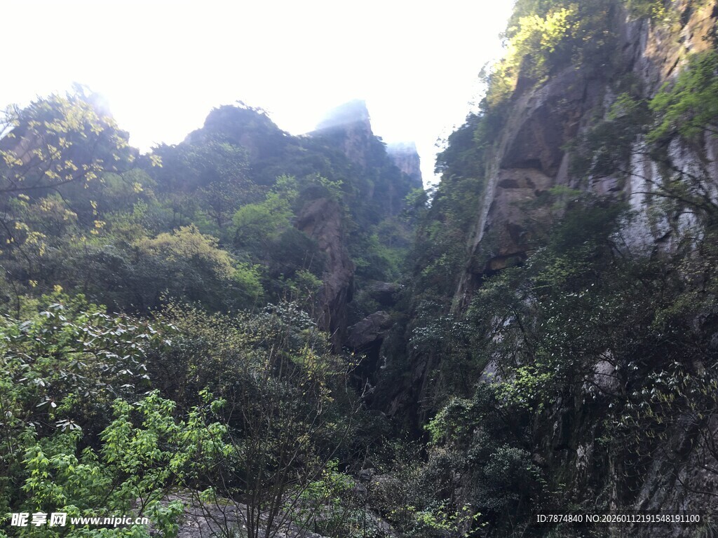 山间峡谷绿意盎然景色