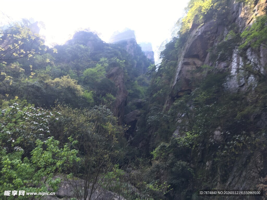 山间绿意盎然的陡峭峡谷