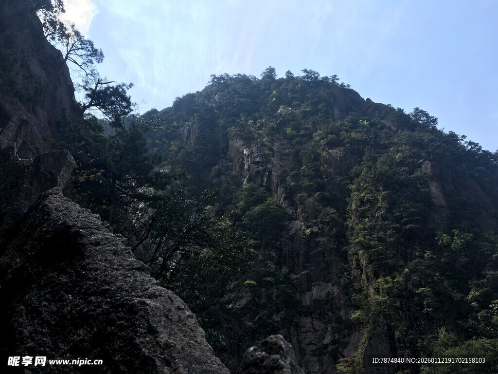 巍峨青山绿意浓