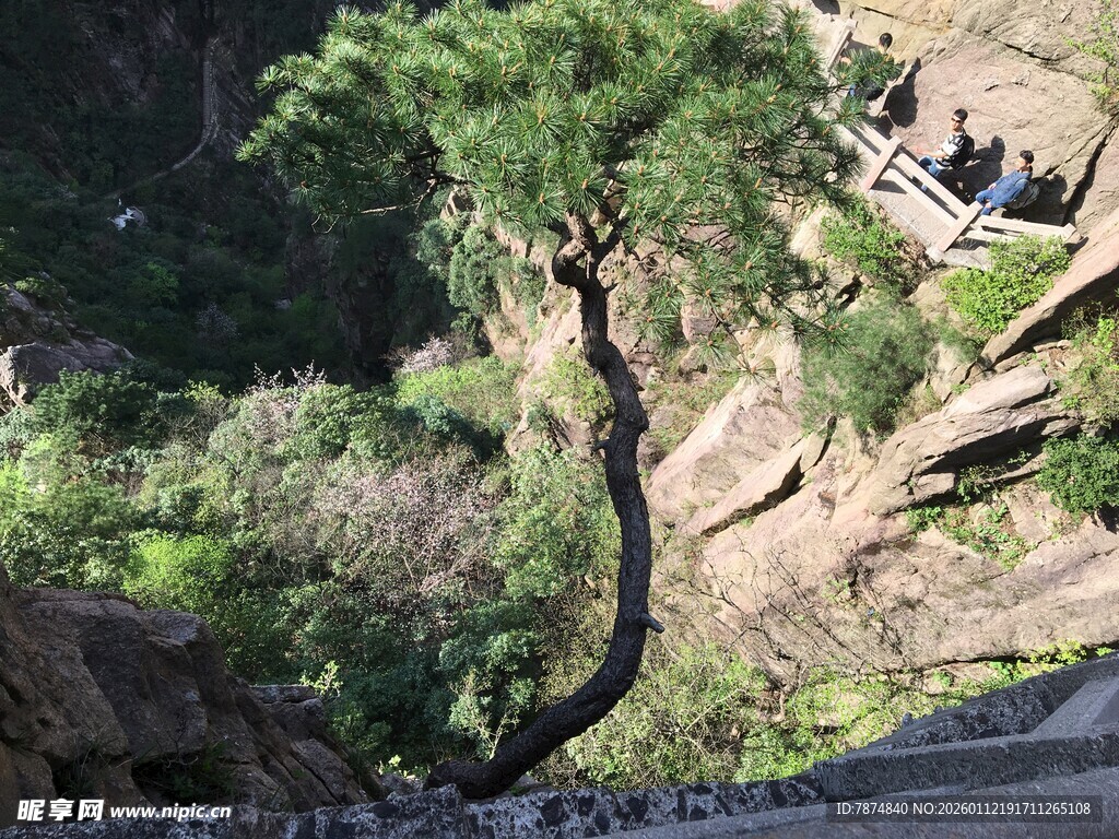 山间遒劲孤树 石阶相伴