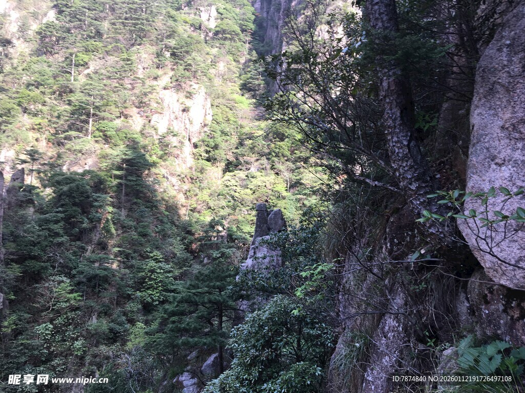 山间峭壁旁的葱郁植被