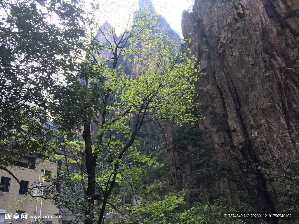 山间景致 绿树掩映峭壁