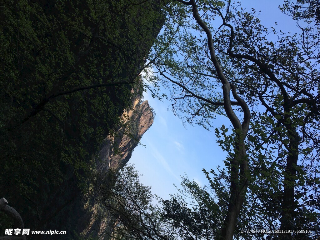 林间蓝天与建筑景致