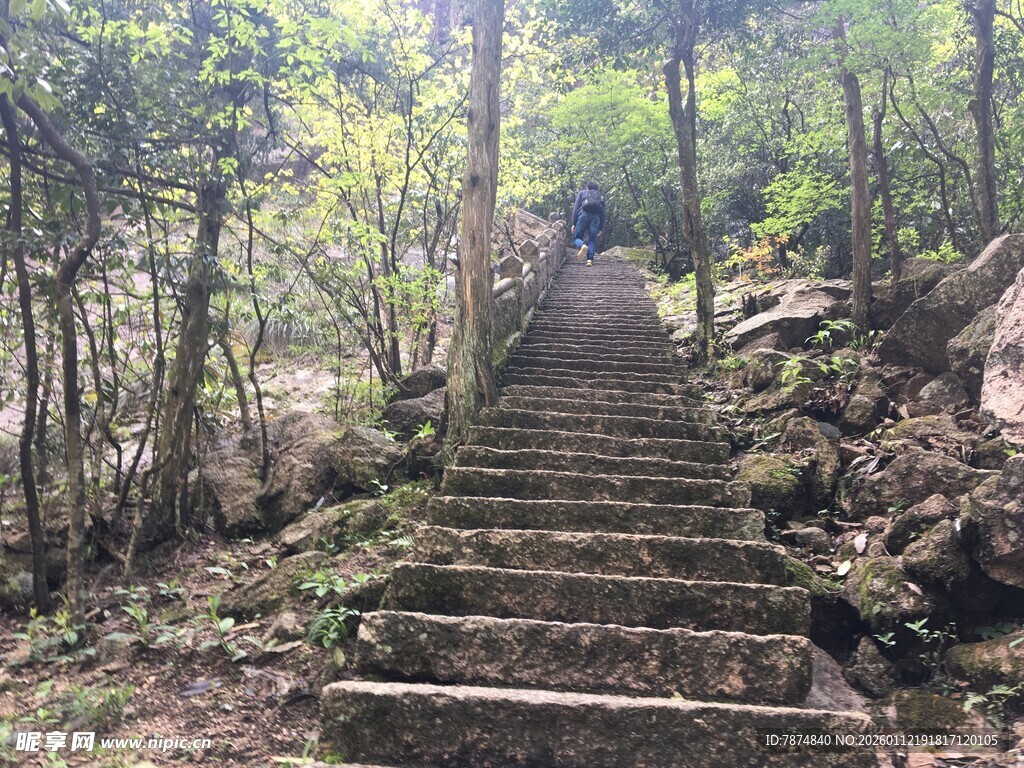 山林中的石阶步道