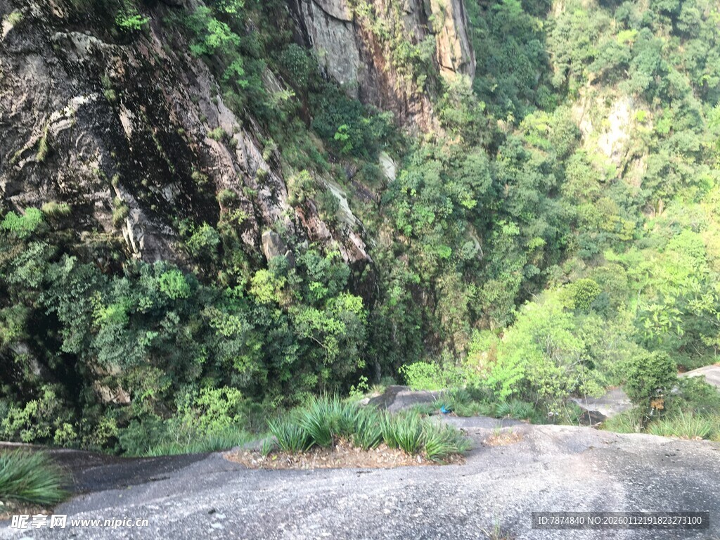 山间蜿蜒公路旁绿意盎然