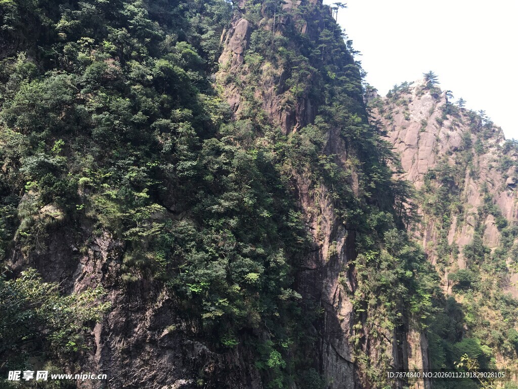 巍峨青山覆绿植