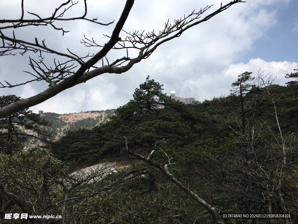 山林间的树木与开阔天空