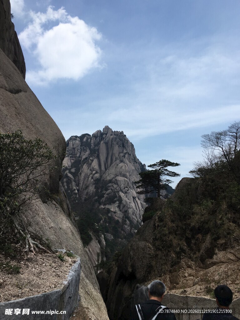 山间景致 岩石与树木相伴