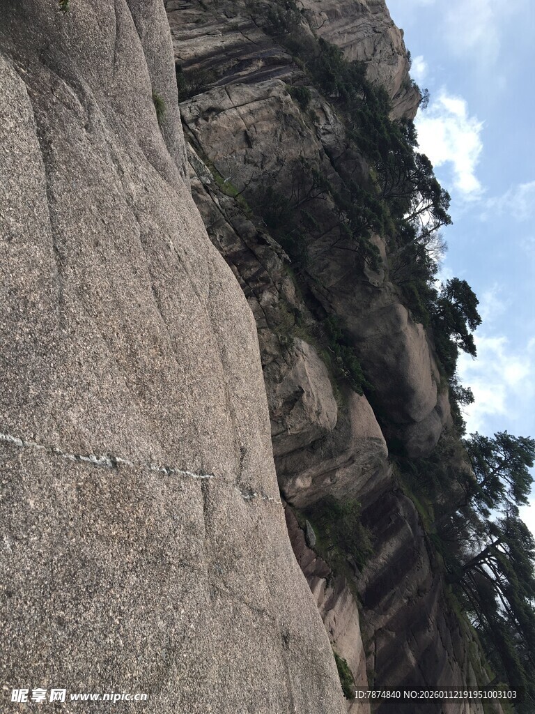 陡峭山壁上的顽强植被