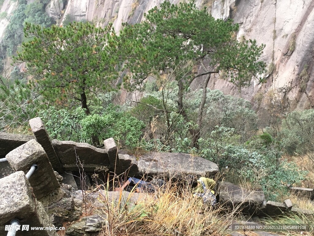 山间石景与绿植相映成趣