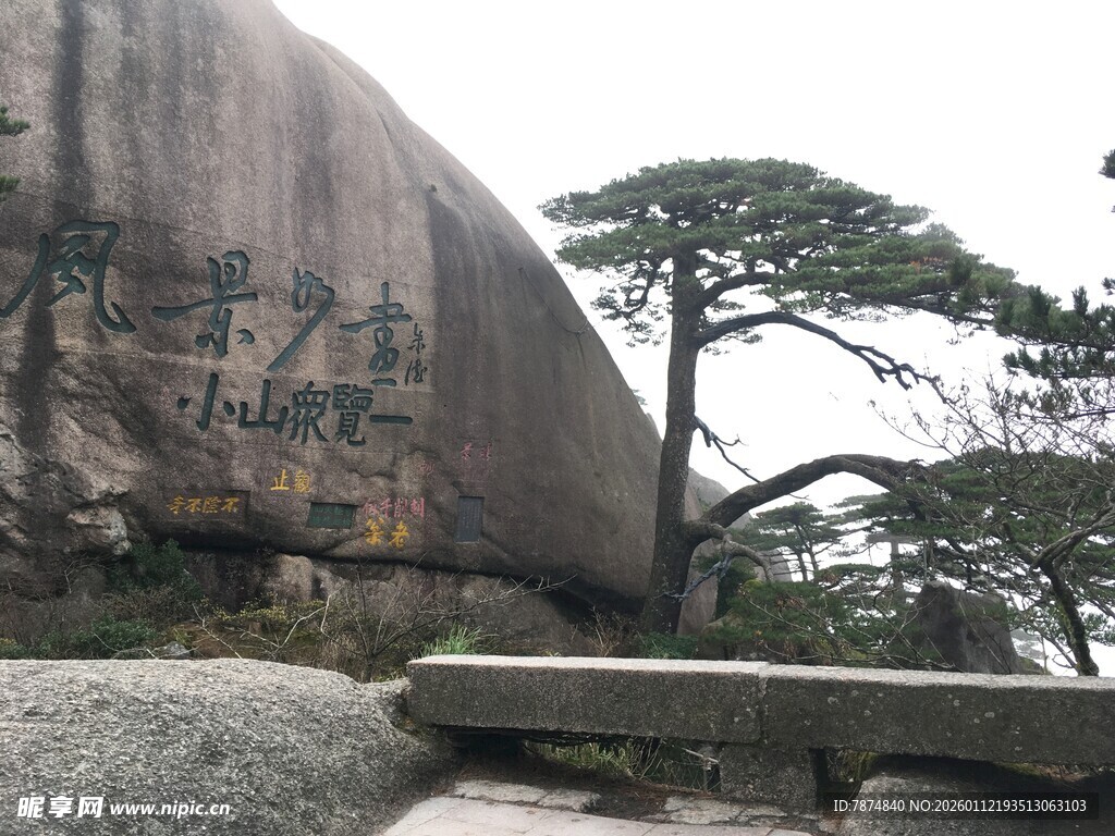 黄山巨石旁的苍劲松树