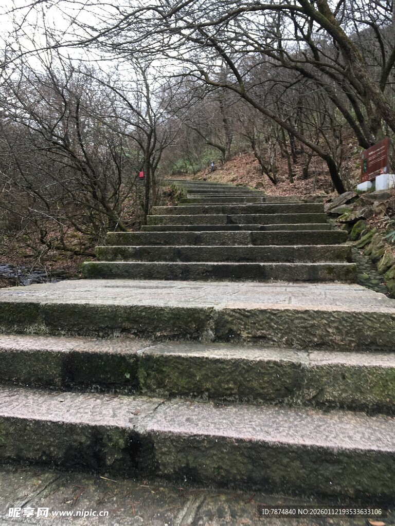 林间石阶 静谧冬日景致