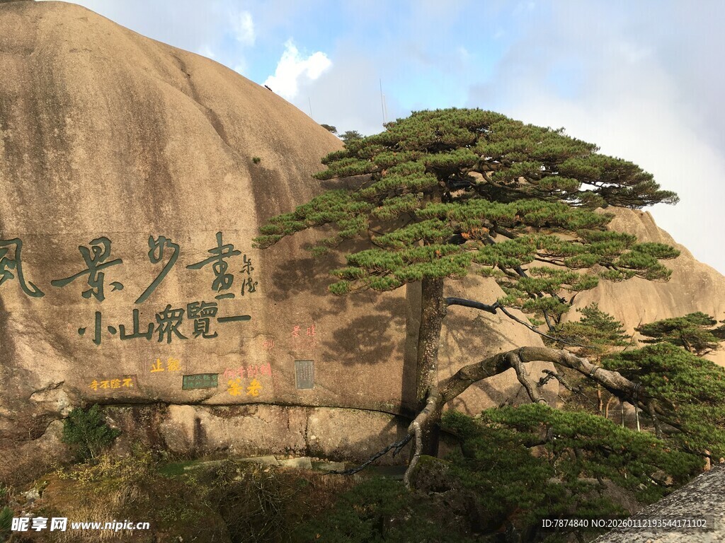 黄山迎客松 屹立巨石旁