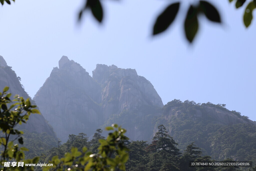 秀丽山峰与葱郁林木景观