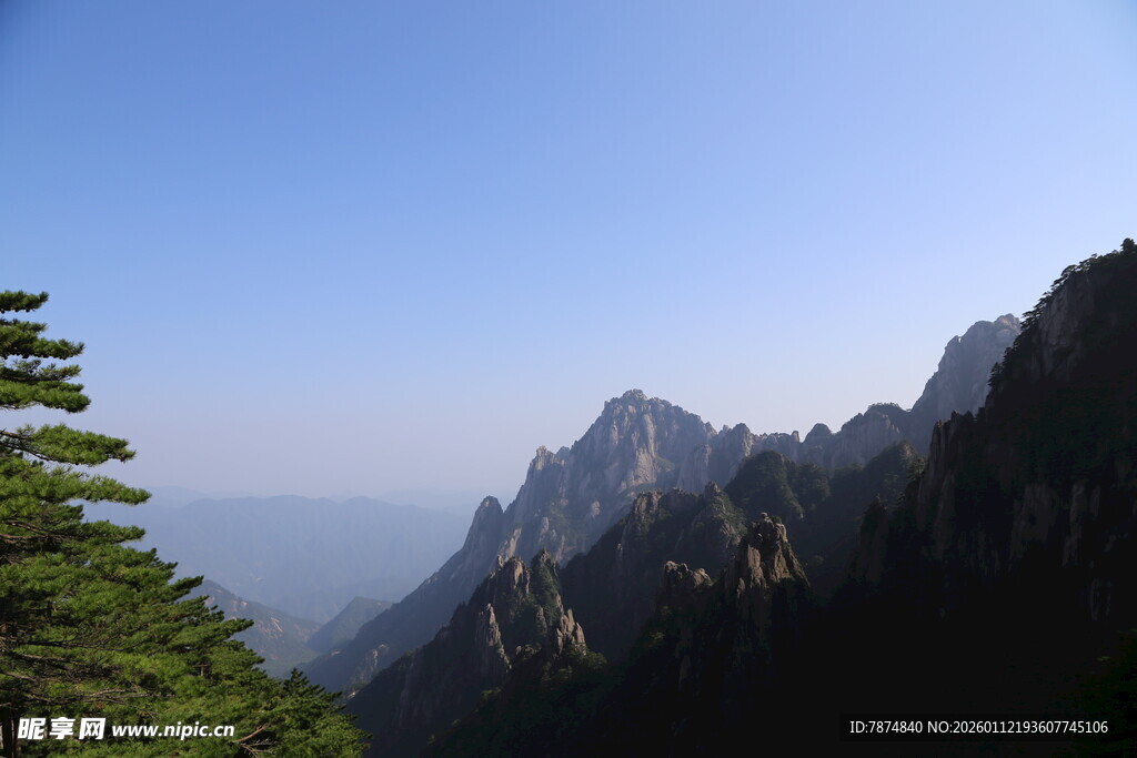 巍峨青山伴挺拔绿树