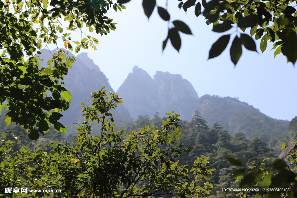 山林间的秀丽山峰景色