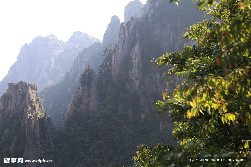 壮丽山峰与葱郁树木景观