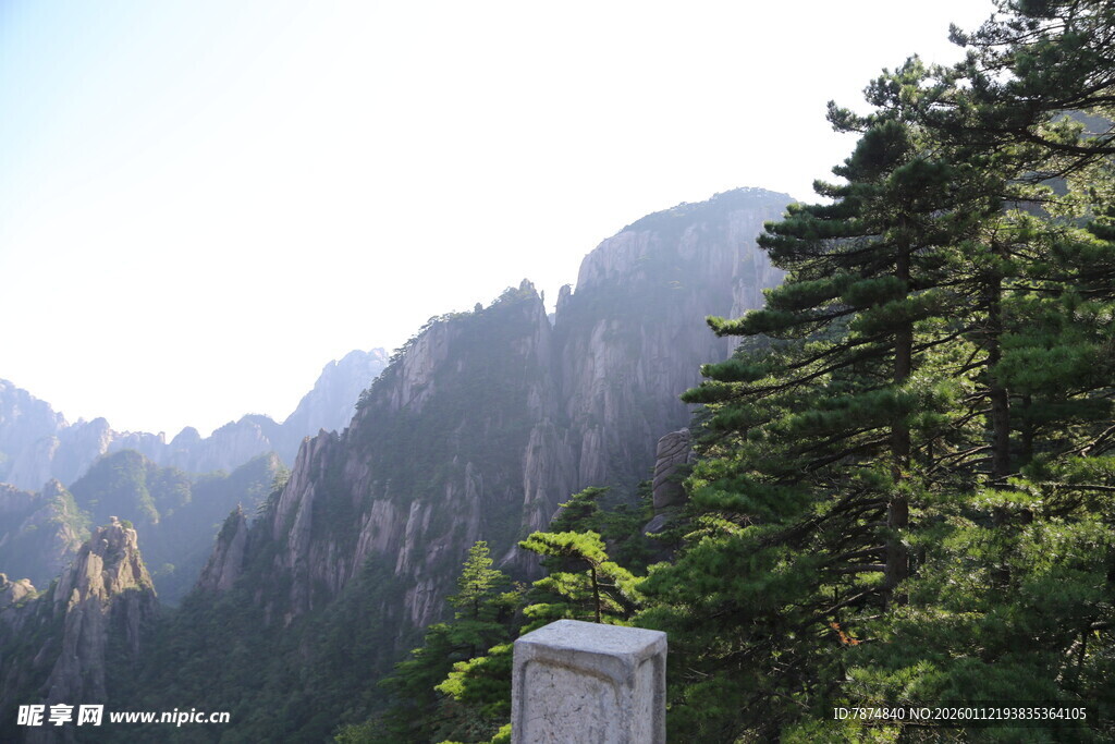黄山奇峰旁的绿树景致