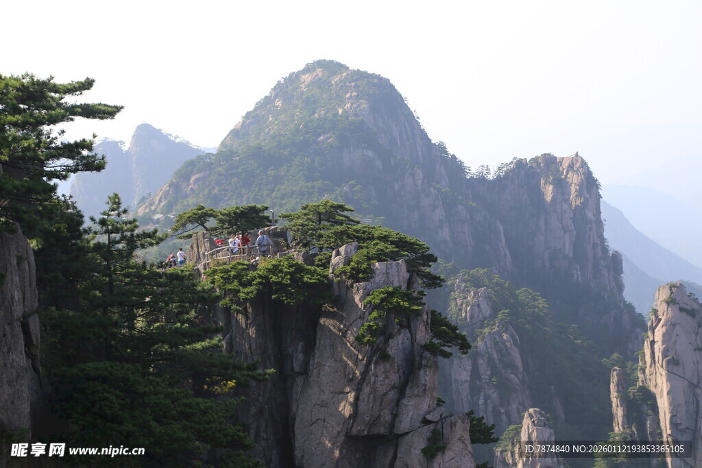壮丽黄山奇峰与苍松